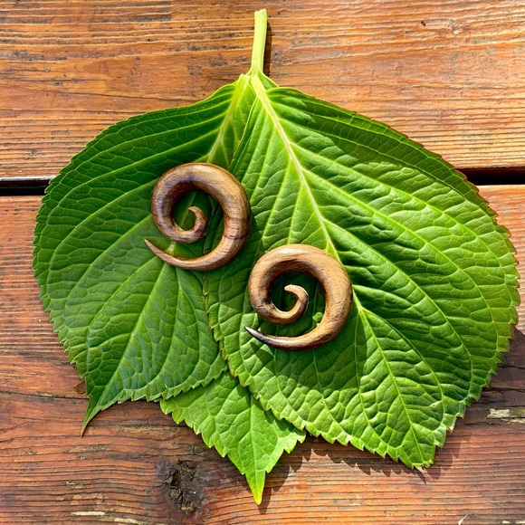 🌈 3/$20 HANDMADE GAUGE TAPERED HANGER ORGANIC WOOD EARRINGS - Picture 2 of 3